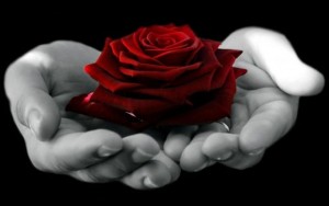 foto_rosa_mano
